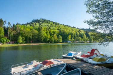 Clausensee Gölü 'nde, Clausen yakınlarında. Almanya 'da federal Rhineland-Palatinate eyaletinde Palatinate Bölgesi