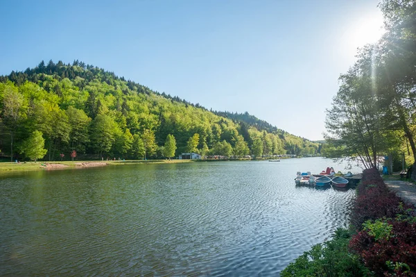 Clausensee Gölü Nde Clausen Yakınlarında Almanya Federal Rhineland Palatinate Eyaletinde — Stok fotoğraf