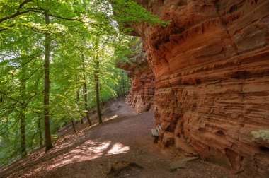 Eppenbrunn yakınlarındaki Altschlossfelsen doğal anıtı. Almanya 'da federal Rhineland-Palatinate eyaletinde Palatinate Bölgesi