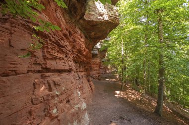 Eppenbrunn yakınlarındaki Altschlossfelsen doğal anıtı. Almanya 'da federal Rhineland-Palatinate eyaletinde Palatinate Bölgesi