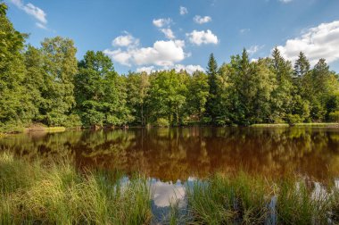 Eppenbrunn yakınlarındaki Spiessweiher gölünün manzarası. Almanya 'da federal Rhineland-Palatinate eyaletinde Palatinate Bölgesi