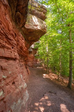 Eppenbrunn yakınlarındaki Altschlossfelsen doğal anıtı. Almanya 'da federal Rhineland-Palatinate eyaletinde Palatinate Bölgesi