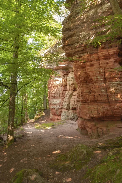 stock image Natural monument Altschlossfelsen near Eppenbrunn. Region Palatinate in the federal state of Rhineland-Palatinate in Germany