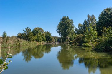 Siegfried Hattı olarak da bilinen eski Wetswall 'ın bir parçası olarak Niederotterbach yakınlarında su baskınına uğramış tanksavar hendeği. Almanya 'da federal Rhineland-Palatinate eyaletinde Palatinate Bölgesi