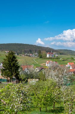 St. Dionysius şapeli ile Gleiszellen-Gleishorbach köy manzarası. Almanya 'da federal Rhineland-Palatinate eyaletinde Palatinate Bölgesi