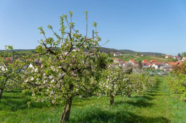 St. Dionysius şapeli ile Gleiszellen-Gleishorbach köy manzarası. Almanya 'da federal Rhineland-Palatinate eyaletinde Palatinate Bölgesi