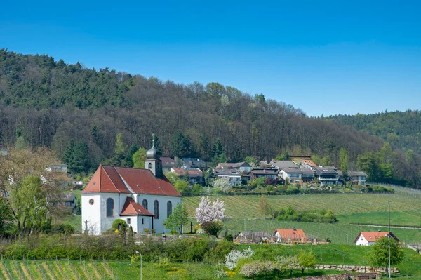 Dorfansicht Von Gleiszellen Gleishorbach Mit Der Dionysius Kapelle Region Rheinland — Stockfoto