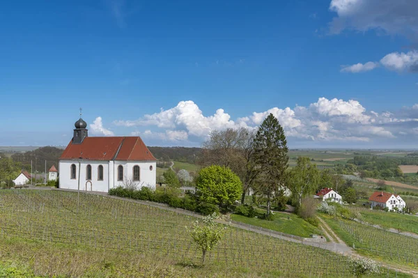 Gleiszellen Gleishorbach的圣狄奥尼修斯教堂 背景为上莱茵河平原 德国联邦莱茵兰 法尔茨州的法尔茨地区 — 图库照片