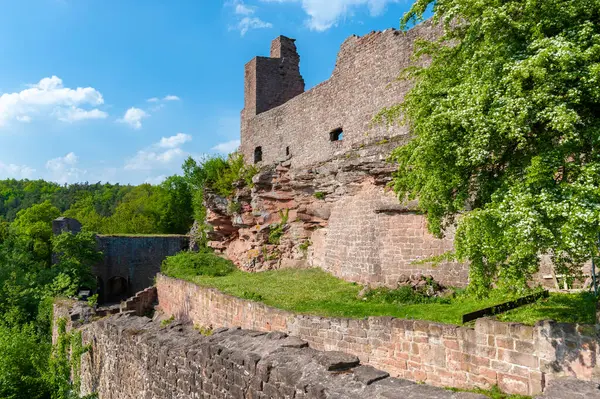 Facade Ruins Madenburg Eschbach Region Palatinate Federal State Rhineland Palatinate — Stock Photo, Image