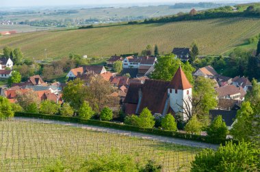 Üzüm bağları ve Leinsweiler şehrinin manzarası arka planda Yukarı Ren Ovası. Almanya 'da federal Rhineland-Palatinate eyaletinde Palatinate Bölgesi