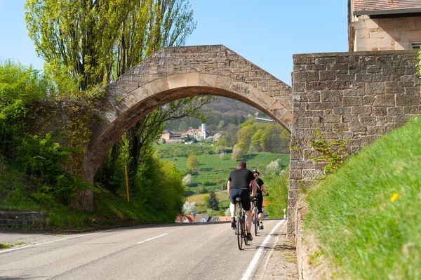 Leinsweiler yakınlarındaki Leinsweilerhof geçidinde bir bisikletçi. Almanya 'da federal Rhineland-Palatinate eyaletinde Palatinate Bölgesi
