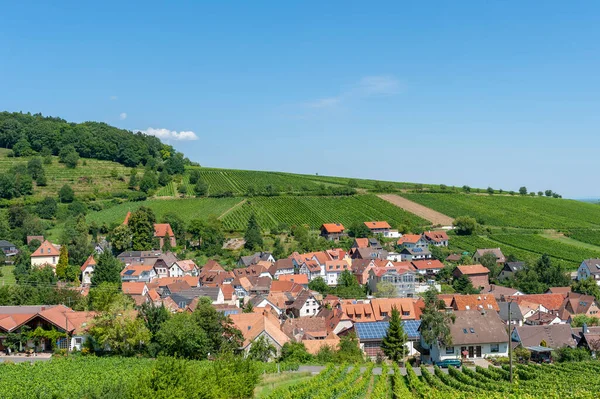 Leinsweiler kasabası manzaralı üzüm bağı manzarası. Almanya 'da federal Rhineland-Palatinate eyaletinde Palatinate Bölgesi