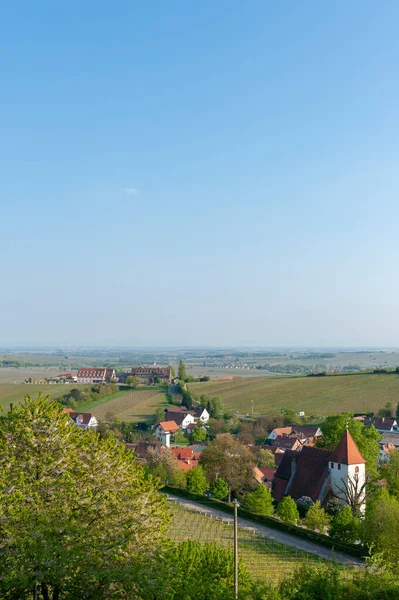Landschap Met Wijngaarden Stadsgezicht Van Leinsweiler Achtergrond Boven Rijnvlakte Regio — Stockfoto