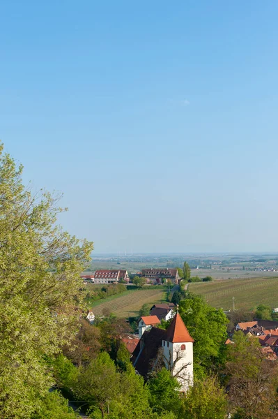 Landschaft Mit Weinbergen Und Stadtbild Von Leinsweiler Hintergrund Die Hochrheinebene — Stockfoto