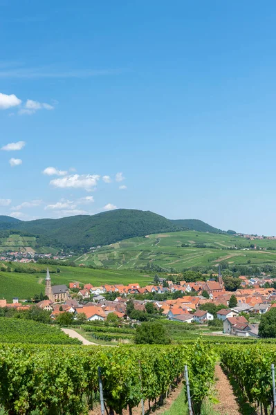 Town View Birkweiler Vineyards Palatinate Forest Background Palatinate Region State — Stock Photo, Image