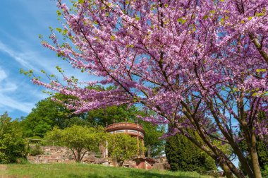Gleisweiler 'daki Botanik Bahçesinde Güneş Tapınağı. Almanya 'da Rhineland-Palatinate Bölgesi