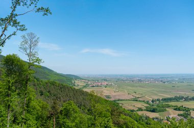 Burrweiler yakınlarındaki Aziz Anna kilisesinden Yukarı Ren Ovası 'na. Almanya 'da Rhineland-Palatinate Bölgesi