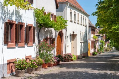 Rhodt, Rietburg 'daki tarihi Theresienstrasse' de tipik evler. Almanya 'da Rhineland-Palatinate Bölgesi