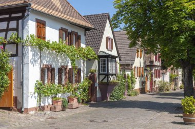 Rhodt, Rietburg 'daki tarihi Theresienstrasse' de tipik evler. Almanya 'da Rhineland-Palatinate Bölgesi