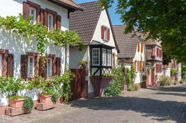 Rhodt, Rietburg 'daki tarihi Theresienstrasse' de tipik evler. Almanya 'da Rhineland-Palatinate Bölgesi