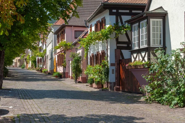 Rhodt, Rietburg 'daki tarihi Theresienstrasse' de tipik evler. Almanya 'da Rhineland-Palatinate Bölgesi