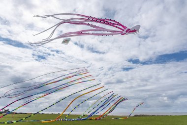 Norddeich 'teki sözde Drachenwiese' de uçurtmalar. Almanya 'da Aşağı Saksonya Devleti