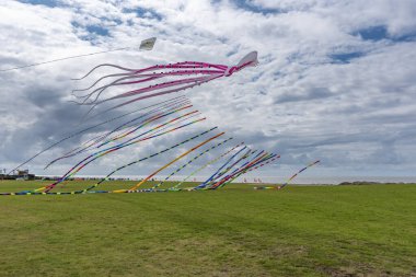 Norddeich 'teki sözde Drachenwiese' de uçurtmalar. Almanya 'da Aşağı Saksonya Devleti