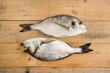 Masada balık, üst manzara.