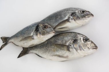 Beyaz arkaplanda izole edilmiş balık
