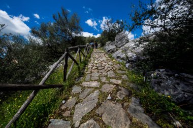 Ahşap çitli dağlarda yol