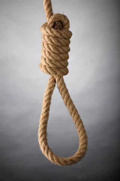rope for hanging isolated on light background