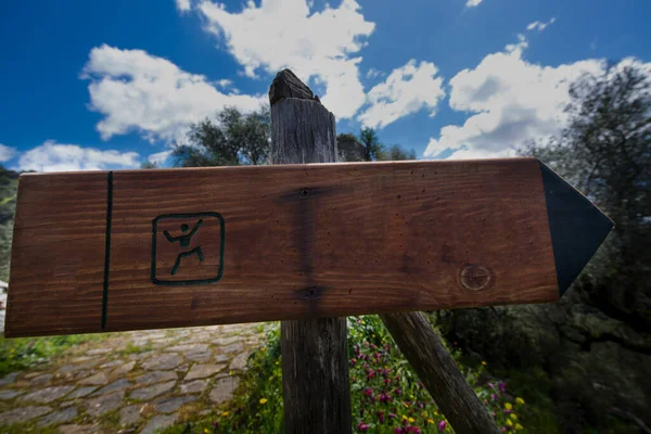 自然环境中的木制标志 — 图库照片
