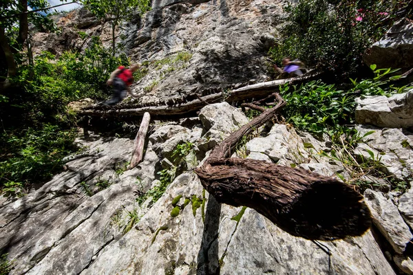 木の橋を渡って自然に囲まれた山の中を歩くトレッカーのグループ — ストック写真