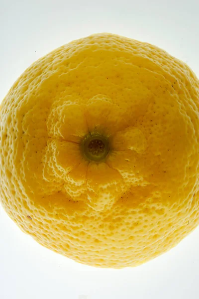 Citron Frais Mûr Jaune Sur Fond Blanc — Photo