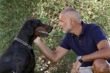 Mavi polo tişörtlü kel adam evdeki bahçede dobermanıyla oynuyor.