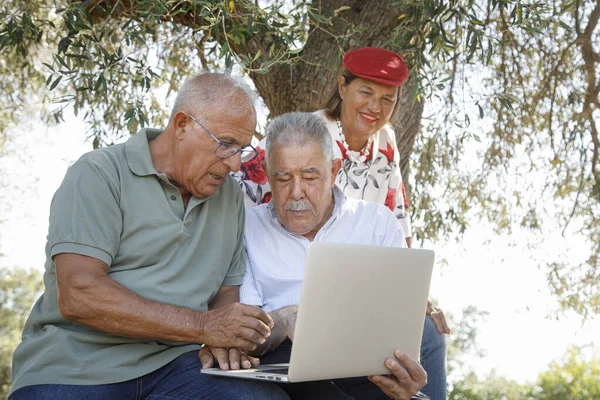 Senioren Paar Benutzt Laptop — Stockfoto