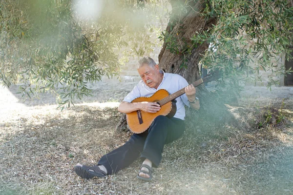 80歳の男憂うつな演奏メロディーで座っています田舎の古いオリーブの木の陰で — ストック写真