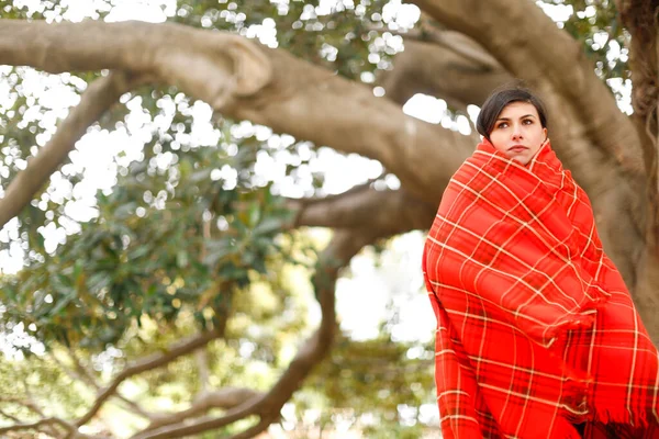 stock image portrait of beautiful young woman covered with red plaid on nature