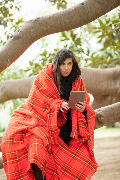 Battaniyeyle Kaplanmış Kadın Tabletle Ağaçta Oturuyor — Stok fotoğraf