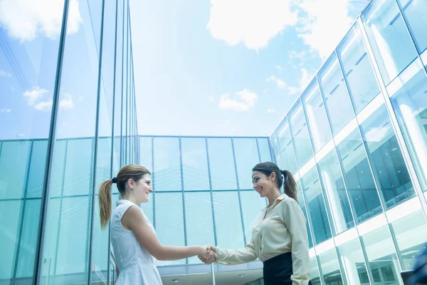 握手をする二人のビジネスパートナー — ストック写真