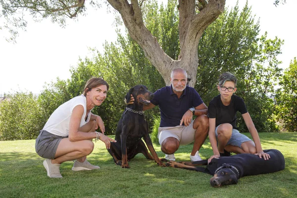 Hermosa Familia Con Perros Sonriendo Feliz Césped Del Jardín Del —  Fotos de Stock