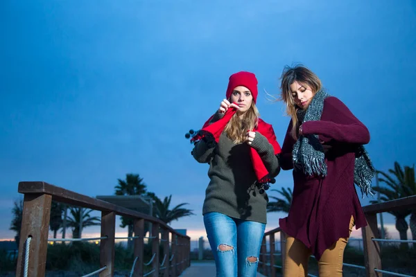 Porträt Zweier Schöner Frauen Warmer Kleidung Auf Der Straße Der — Stockfoto