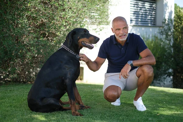 Mavi polo tişörtlü kel adam evdeki bahçede köpeğiyle oynuyor.