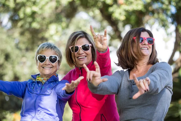 Ομάδα Παλιών Φίλων Ντυμένοι Πολύχρωμα Πνευματώδη Γυαλιά Ηλίου Παίζοντας Γελώντας — Φωτογραφία Αρχείου