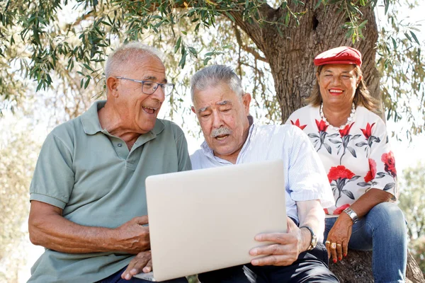 Seniorenpaar Sitzt Auf Gras Und Benutzt Laptop — Stockfoto