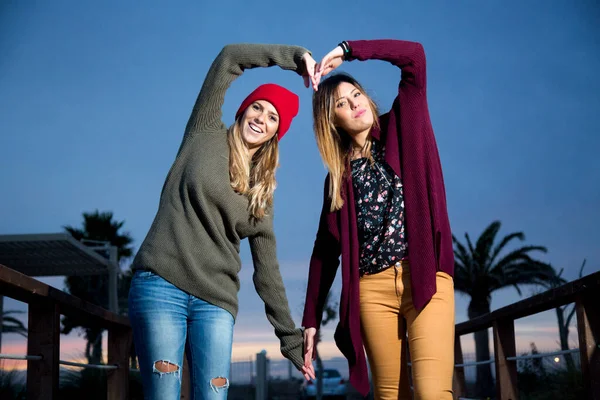 Porträt Zweier Schöner Frauen Warmer Kleidung Auf Der Straße Der — Stockfoto