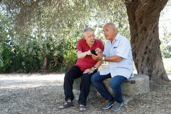 Couple Elderly Friends Look Cellphone Sitting Outdoor Park — Stock Photo, Image