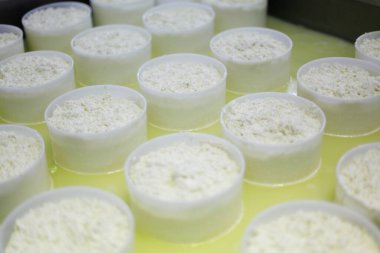 Peynir üretimi. Peynir üretimi. peynir üretimi. 