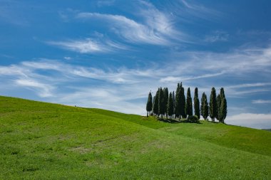 Toskana 'da yeşil ağaçlar ve mavi gökyüzü olan manzara 