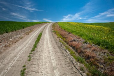 Toprağın ortasındaki toprak yol. 